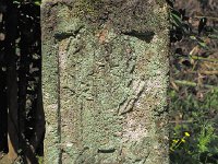 善神王社　馬場尾白水３